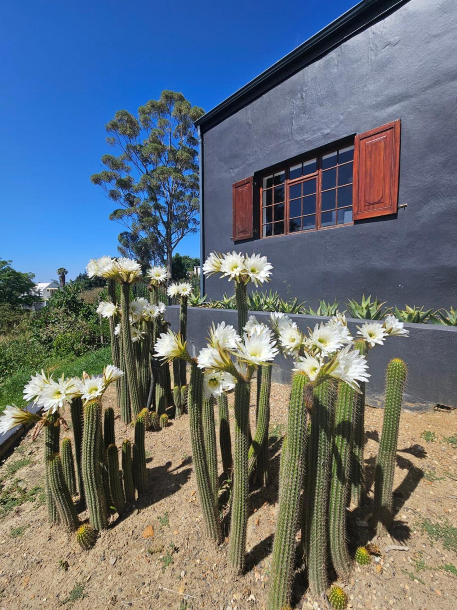 The Retreat Swellendam 빌라 외부 사진